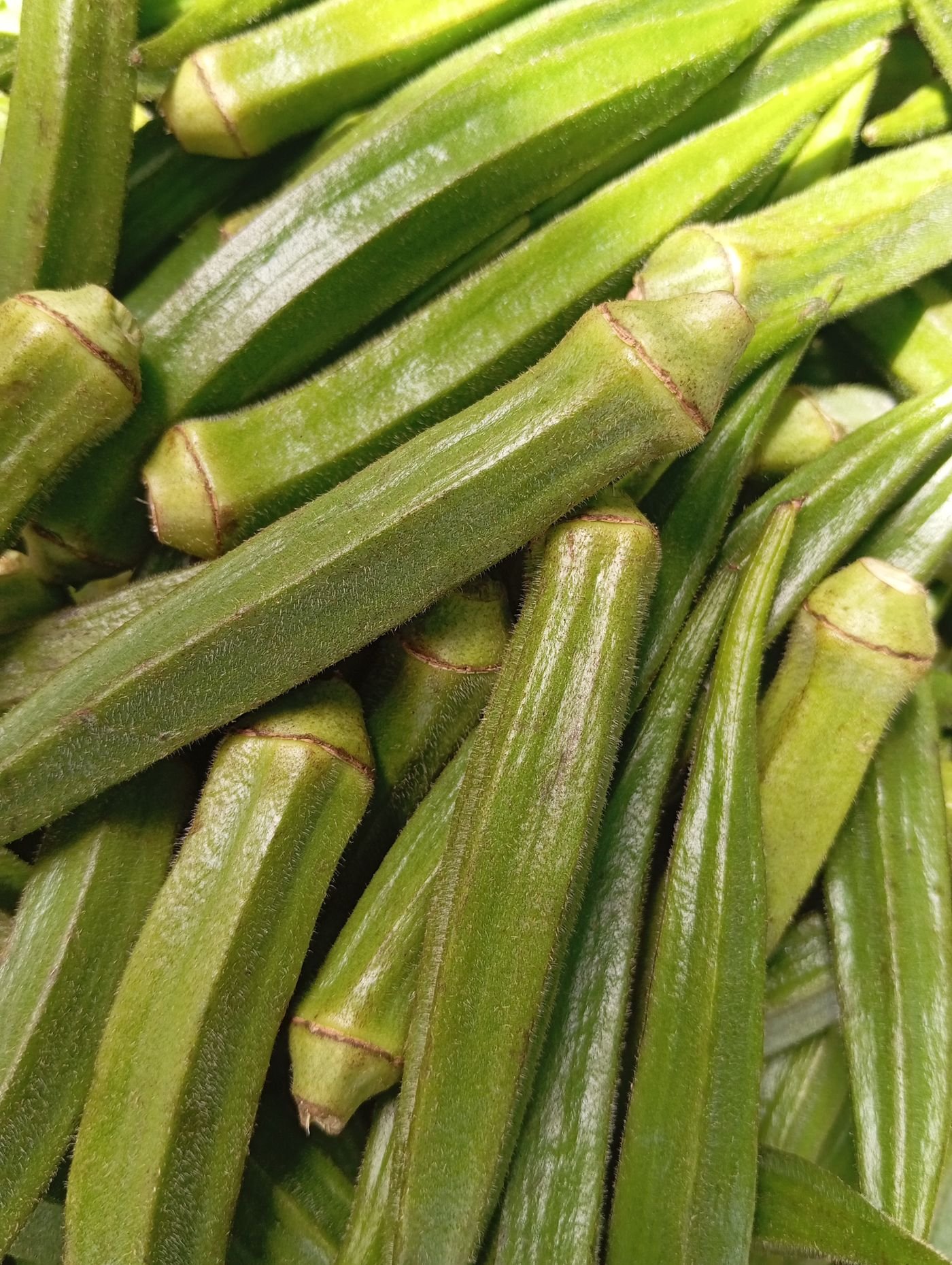 A pile of fresh green okra at a market