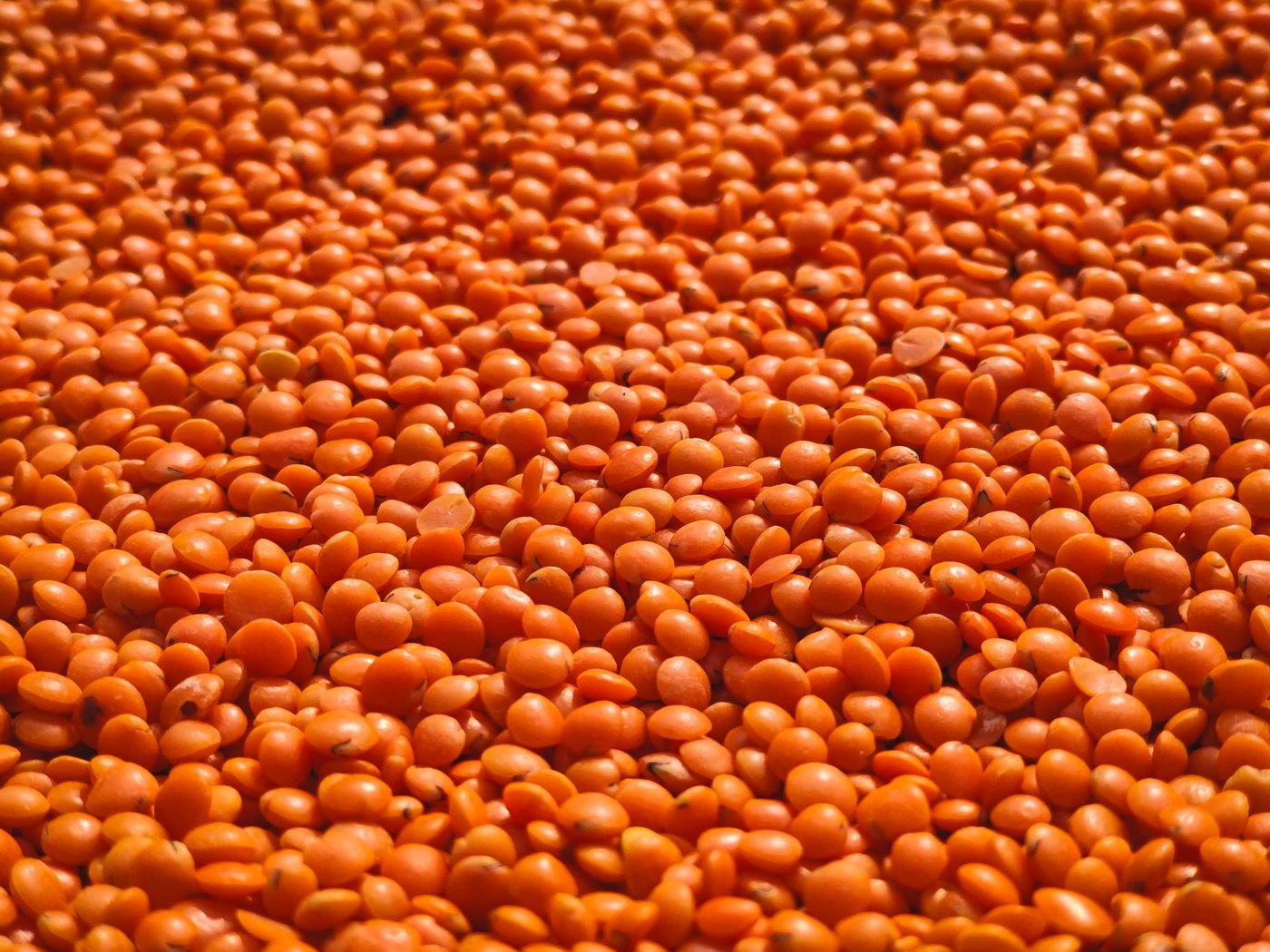 Orange red lentil daal, close-up